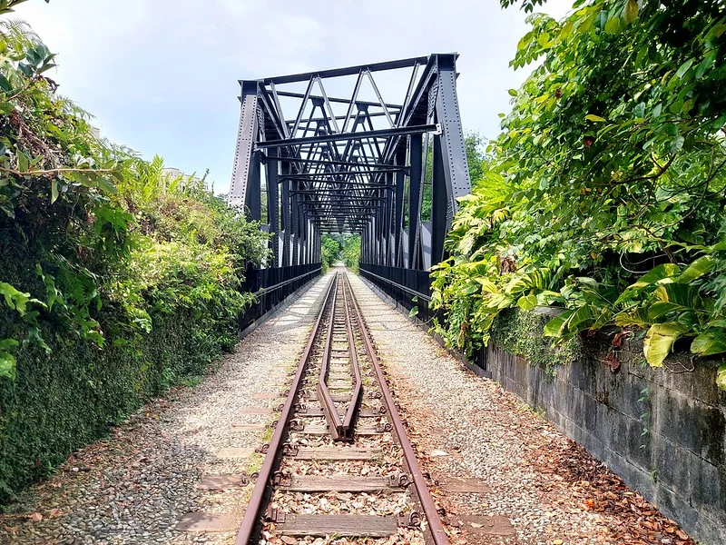 Rail Corridor near Dunearn House